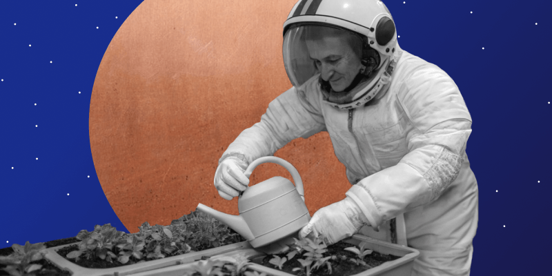 HR-компетенции: обучение руководителя обложка