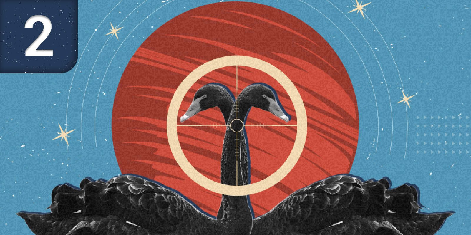 Охота на «черных лебедей» 2 обложка