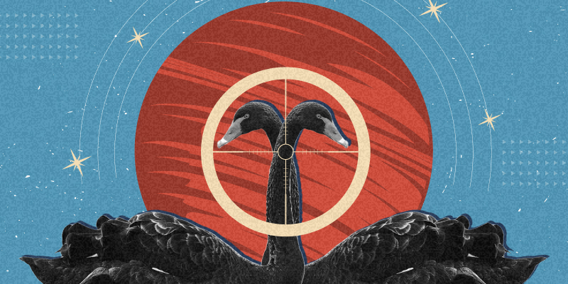 Охота на «черных лебедей» обложка